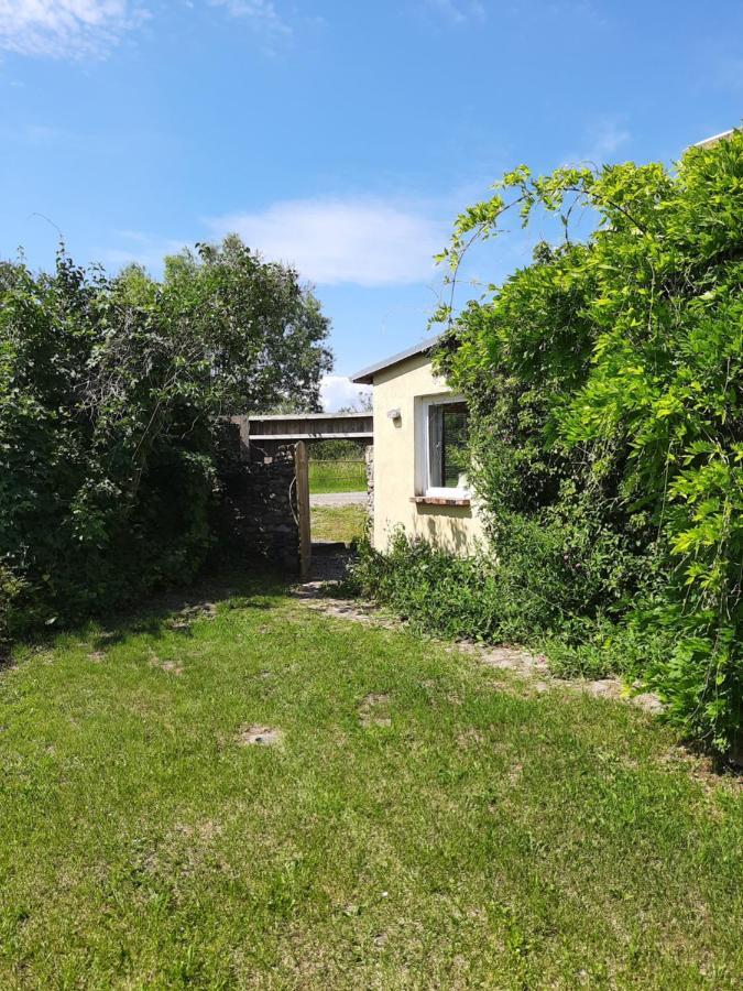 Ferienwohnung In Welzin Damshagen ภายนอก รูปภาพ